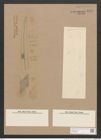 Pleurosigma longum Cleve (de-Toni-Nr.: Genus 13, Species 1044) Zeichnungen Sammlung Grunow Nr. 1878 (NHMW-BOT-W0368989)